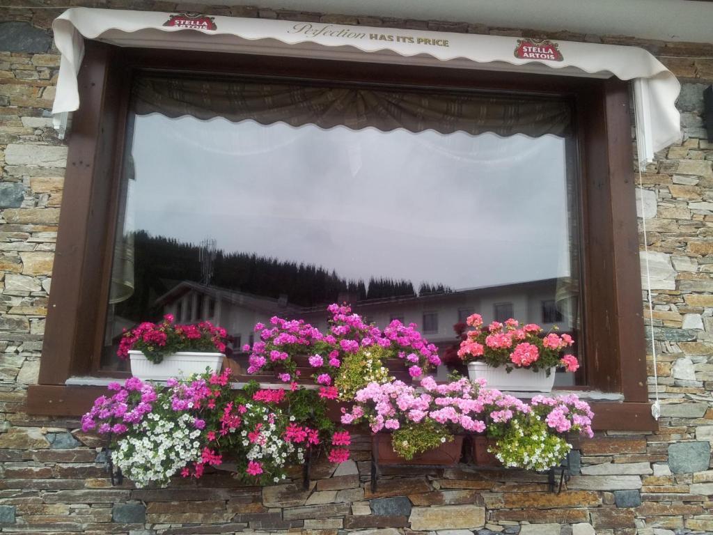 Hotel Iva & Elena Pamporovo Kültér fotó